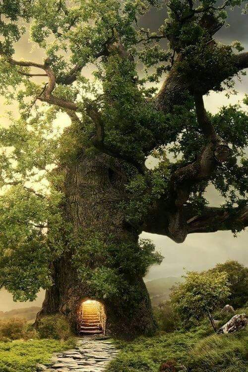 kentkristensen1's tweet photo. Read me a fairy-tale....
#Calmmedownin3words is love 4ever...
#makeloveprotected for all humans...
Wish you a sweet December...
ππ²ππππππ https://t.co/7k55KP1x1V