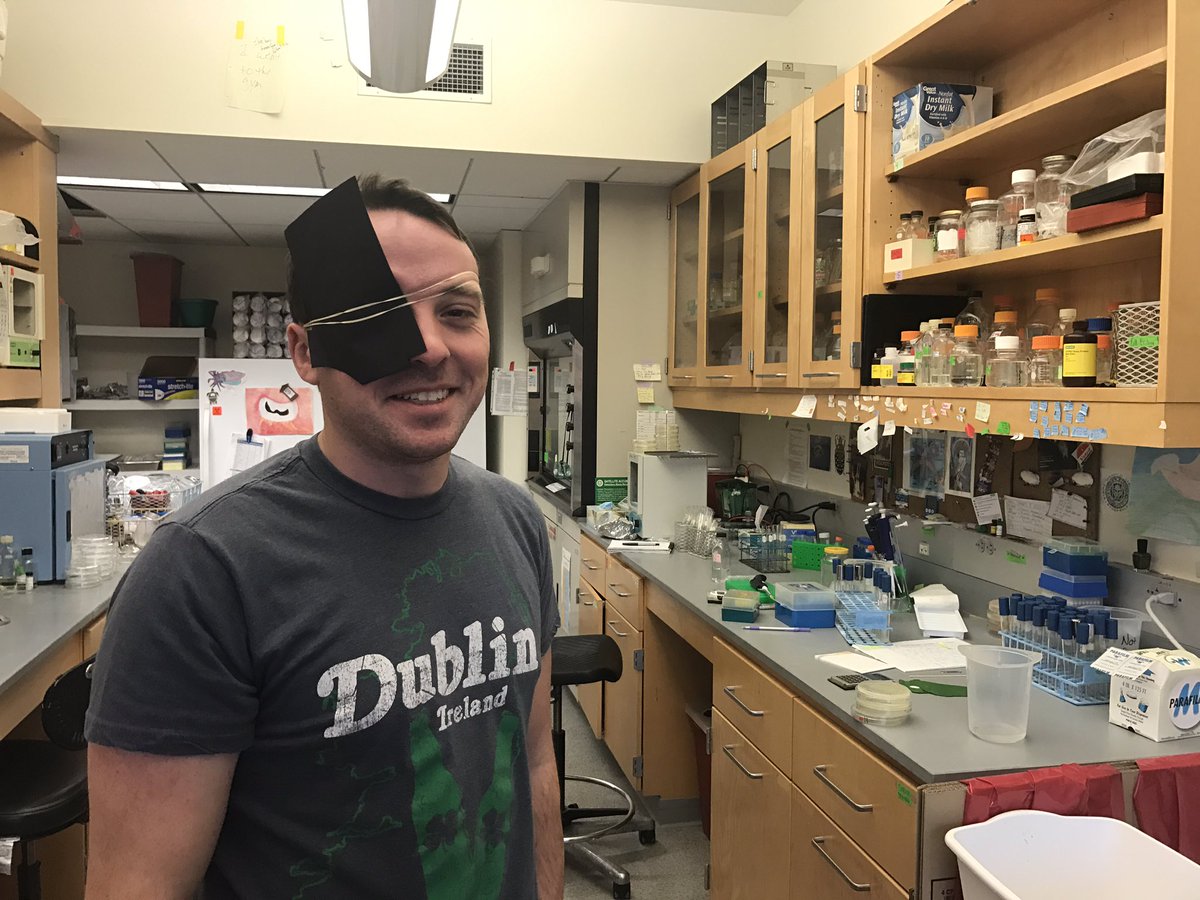 SarahMackAttack's tweet photo. Rotation student Corey is doing an expt. w/cells in the dark. He's fashioned a eye patch 2 maintain night vision #PirateScience #LabFashion https://t.co/sp5lPcm8eE
