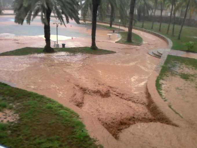 Ver imagen en Twitter