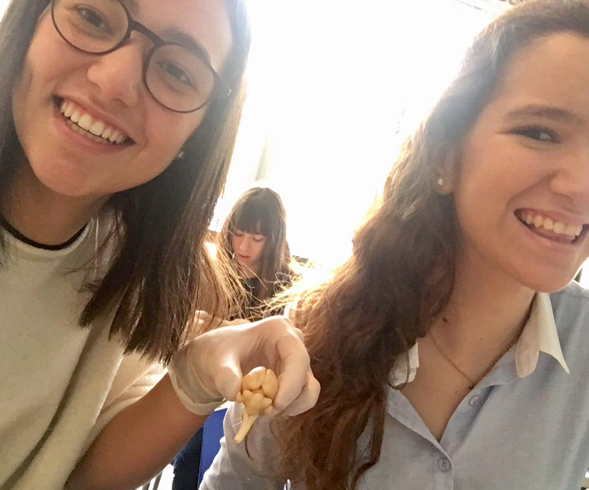 marillanosmh's tweet photo. Las disecciones contigo son menos asquerosas @mariaaaPG 👭🐰❤️ https://t.co/i1TkrjBiFg