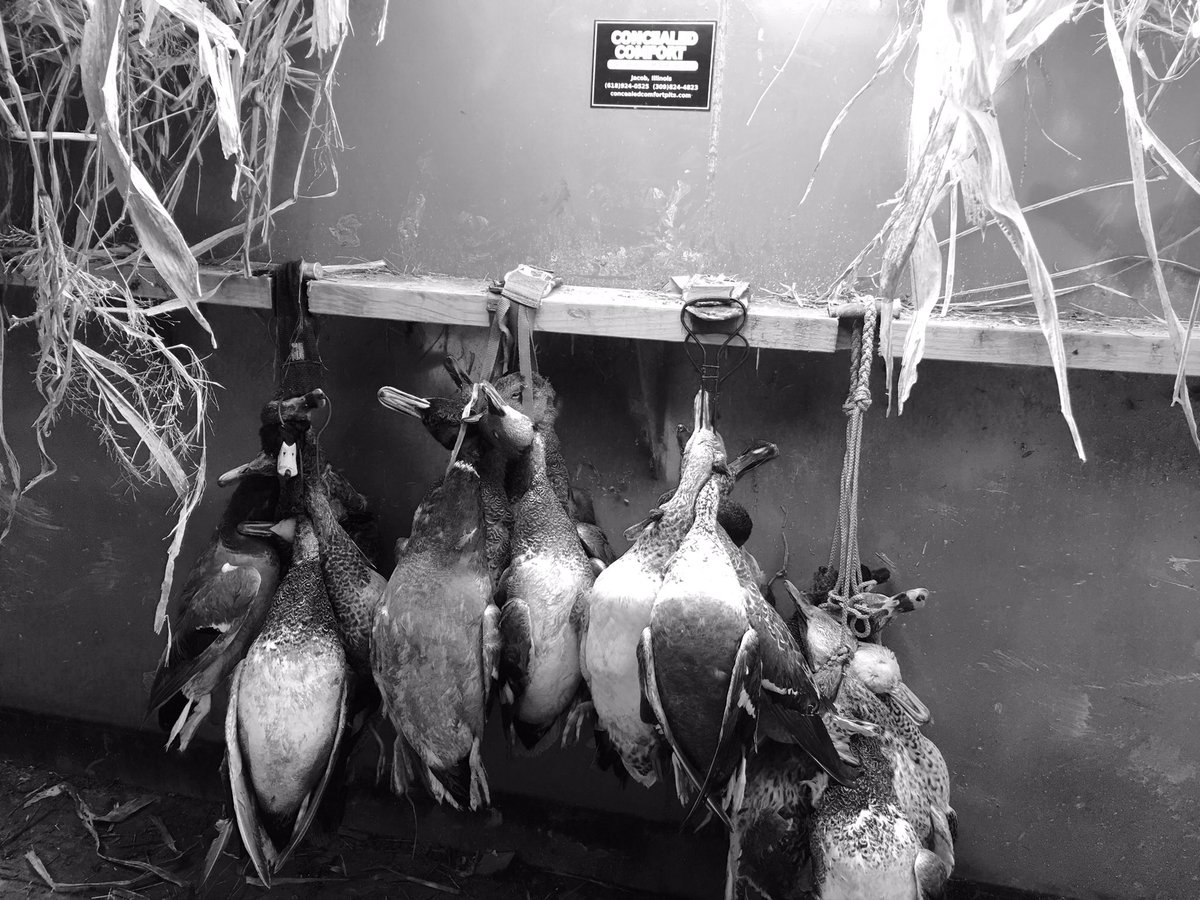 ConcealCo's tweet photo. Good day in Concealed Comfort! #geturpits https://t.co/YDcs0ExtOm