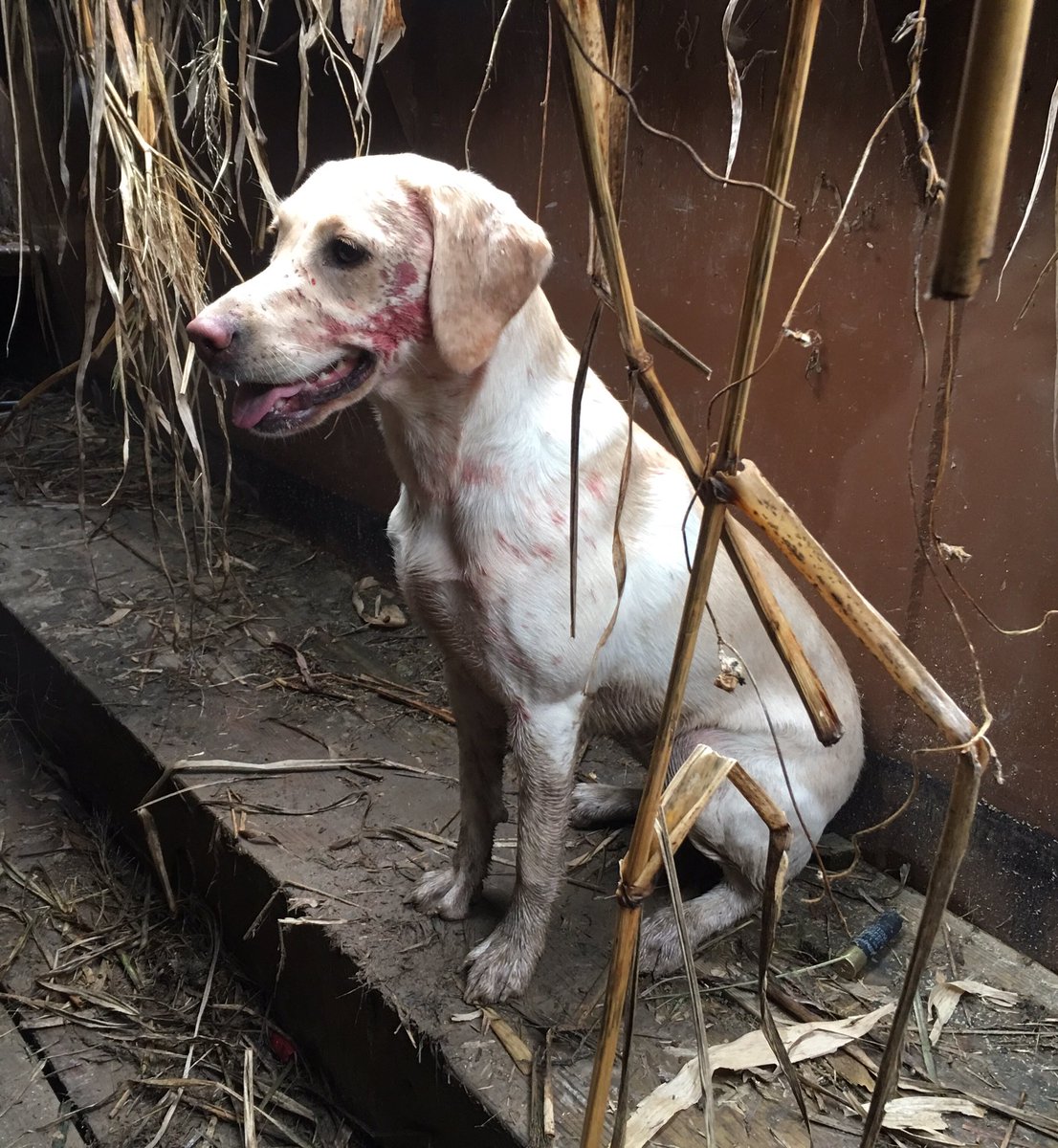 ConcealCo's tweet photo. Good day in Concealed Comfort! #geturpits https://t.co/YDcs0ExtOm