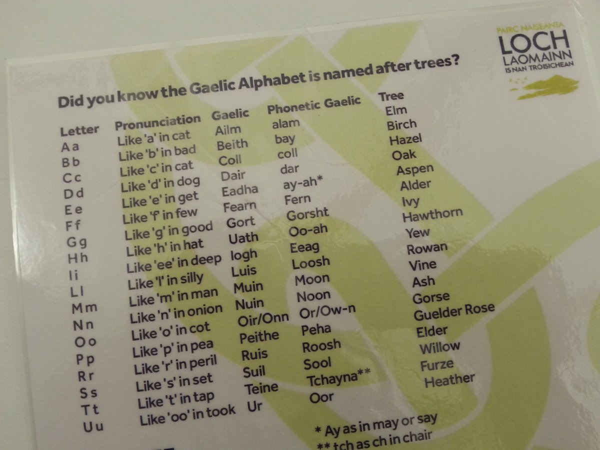 lomondtrossachs's tweet photo. Did you know... each letter of the Gaelic alphabet relates to a tree! #NationalTreeWeek #Gaelic #Gàidhlig https://t.co/tZIWPDx19q