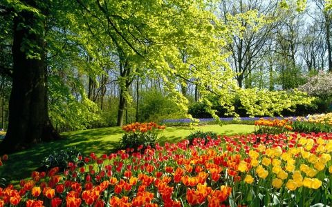 earlyplay's tweet photo. And forget not that the earth delights to feel your bare feet and the winds long to play with your hair. ~ Kahlil Gibran https://t.co/menRVdIlpi