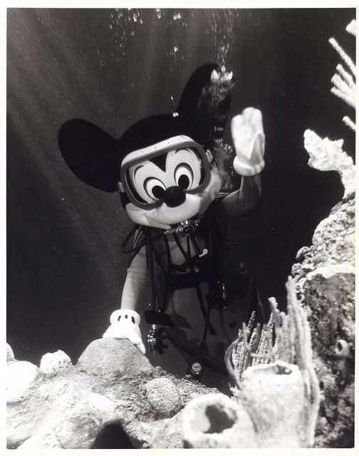 FirstCoastDiver's tweet photo. Back in the day, even Mickey was a diver. https://t.co/qzoMvmhsu0