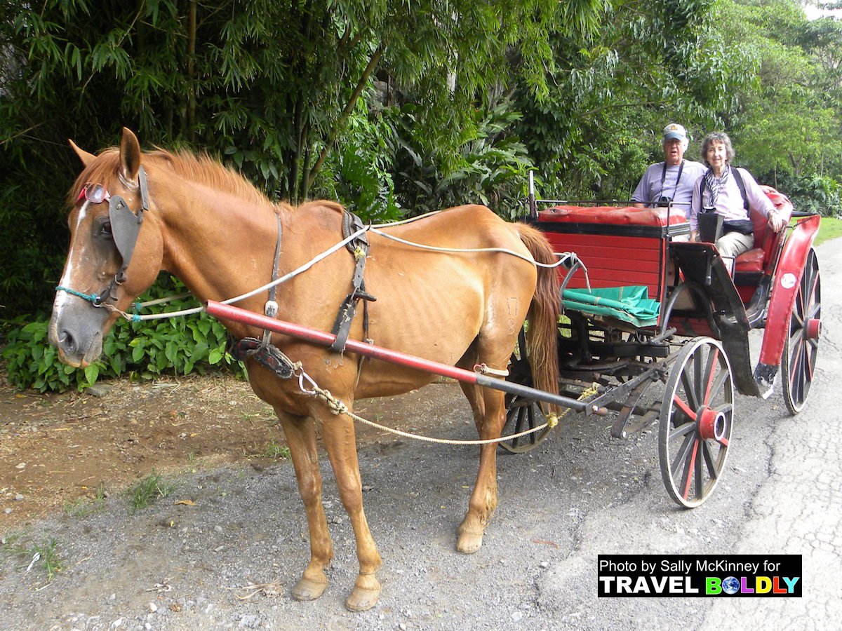 Colorado Travel tweet media