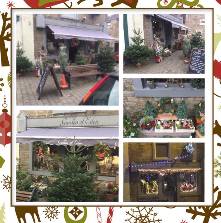 Christmas Trees have arrived  🎄Holly Wreaths Festive Table displays Xmas planters and lots more available <a href="/nordenvillage/">Norden Village</a> <a href="/RochdaleHour/">#RochdaleHour</a> @