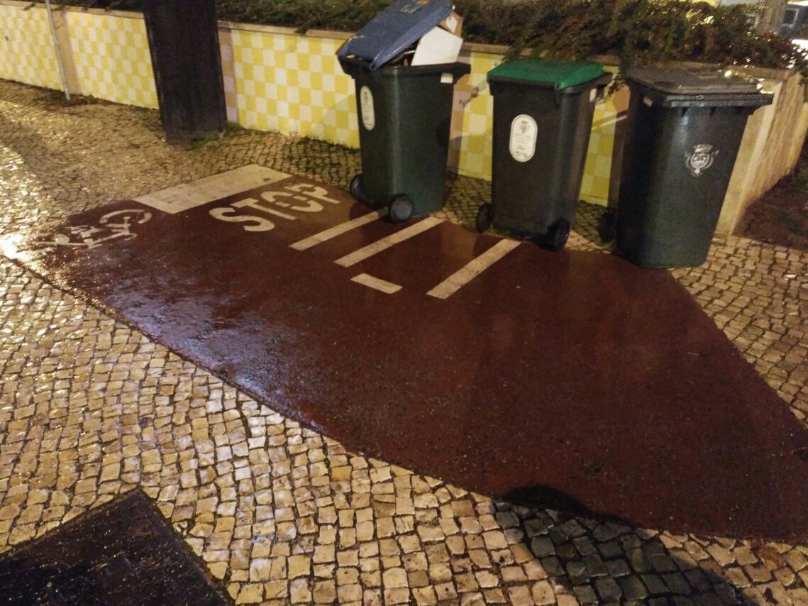 lisbonsucks's tweet photo. Another of the great wonders of lisbon. The smallest bike lane in the world. https://t.co/nbqfCvedq6