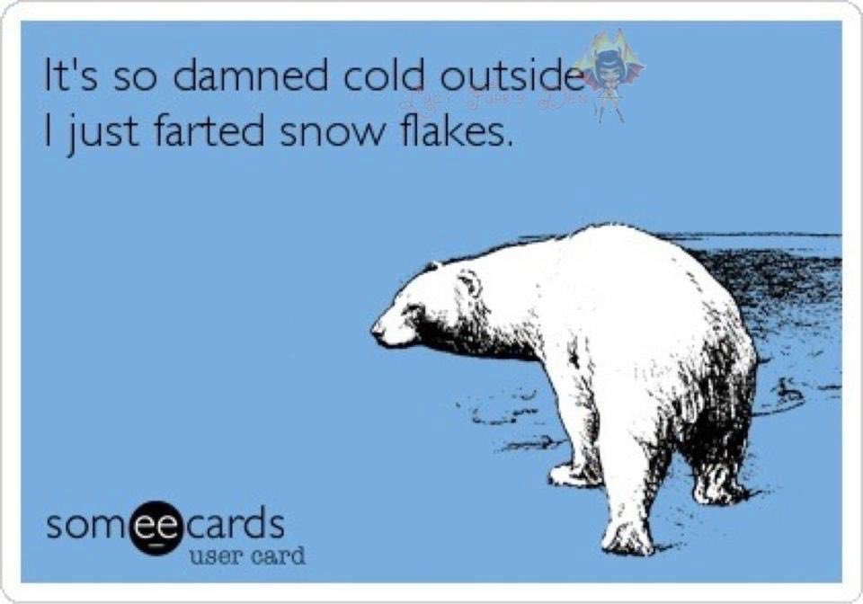 Victoria_N12's tweet photo. So.... Uh what happened to global warming...? #Boltic 🌬❄️😨 https://t.co/msExzT01zA