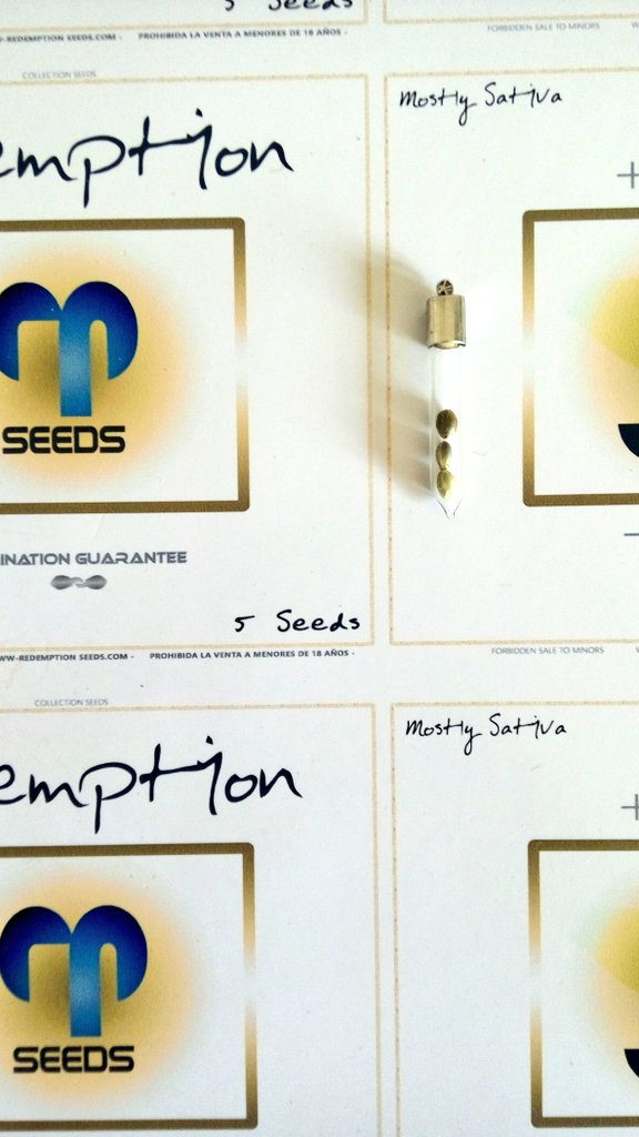 RedemptionSeeds's tweet photo. "If you cultivate in indoor use in each m2 sodium lamps of 400-1000w controling heat, or LED 100-280w" https://t.co/jLPPhaLYUh https://t.co/H3aeiXAvVx