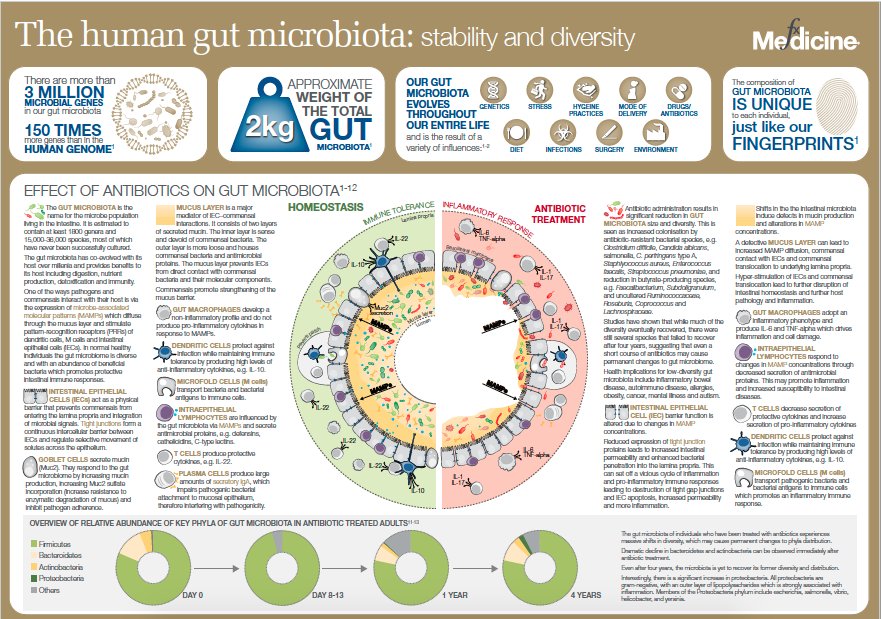 microBIOblog's tweet photo. The human gut microbioma https://t.co/IVyR3p9ZLU