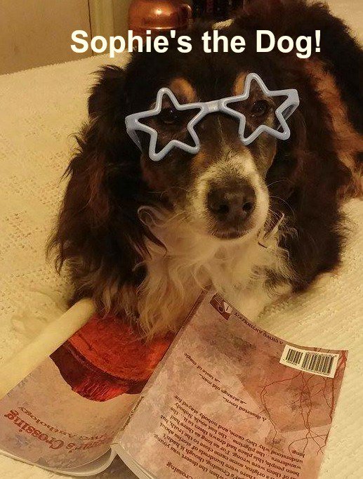 LastVerse66's tweet photo. @RayneHall Love your newsletter! But...where's your page for dog lovers? We're writers, too. 
My dog story was in that book. Sophie ate it. https://t.co/PMGrQQfcCk