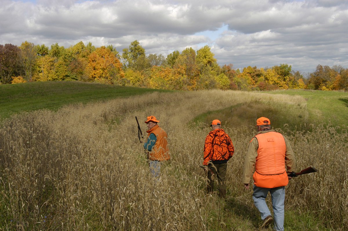 What areas are available for public hunting in Ohio?