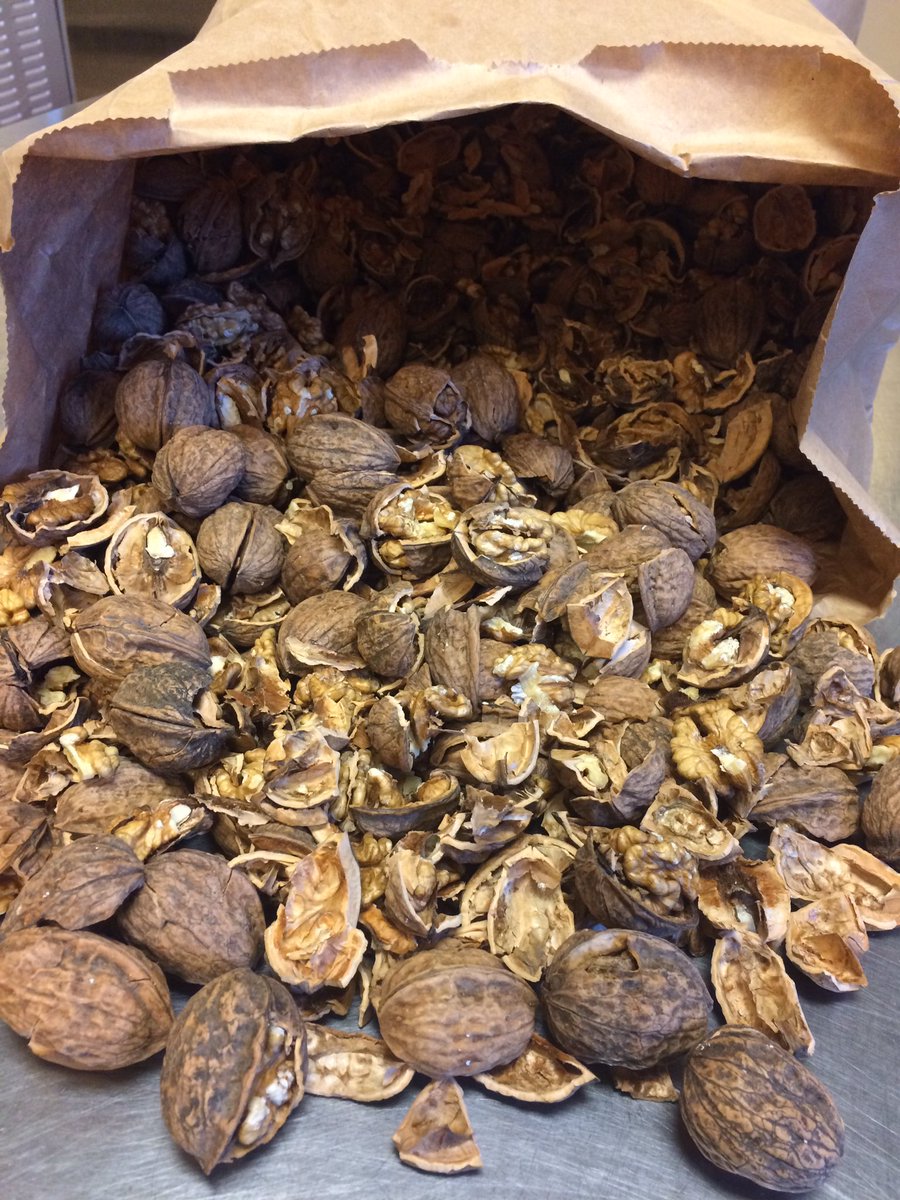 BonAppetitAbbey's tweet photo. NOW IN: A new batch of #local #walnuts & #filberts @ #tree2table so ditch sugary snacks and eat #quality #cleaneats #heartfood #healthyfat https://t.co/3b9z5Ty0s1