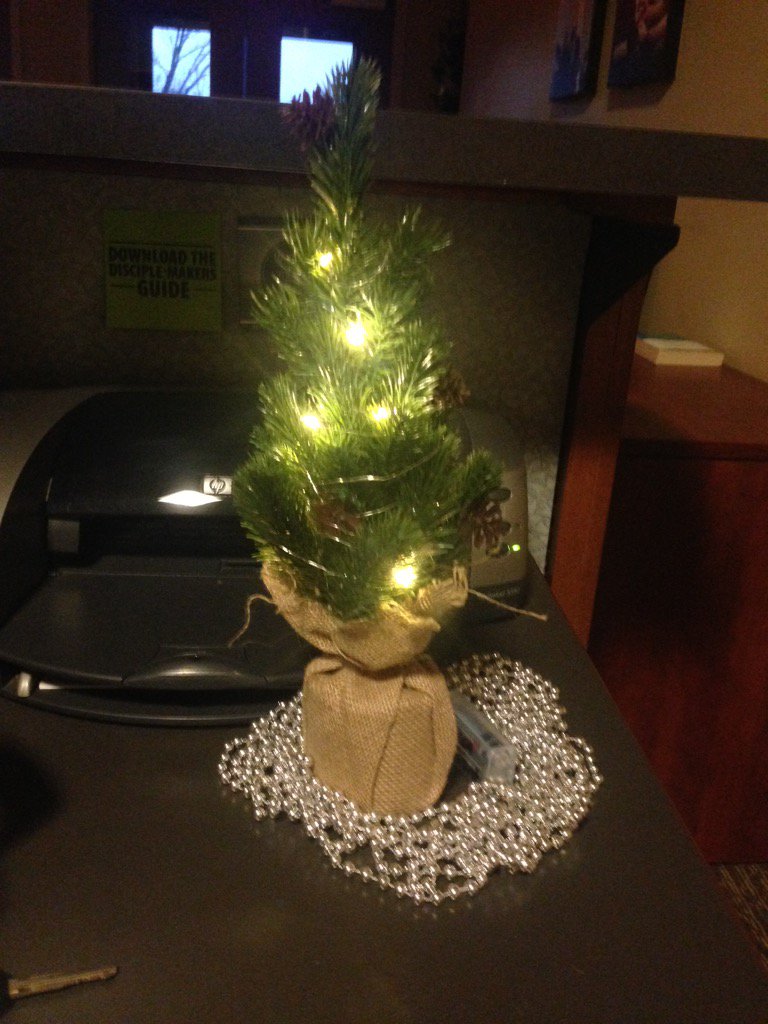 Wishing you all Christmas cheer today! Here's a picture of my cherry tree at work!