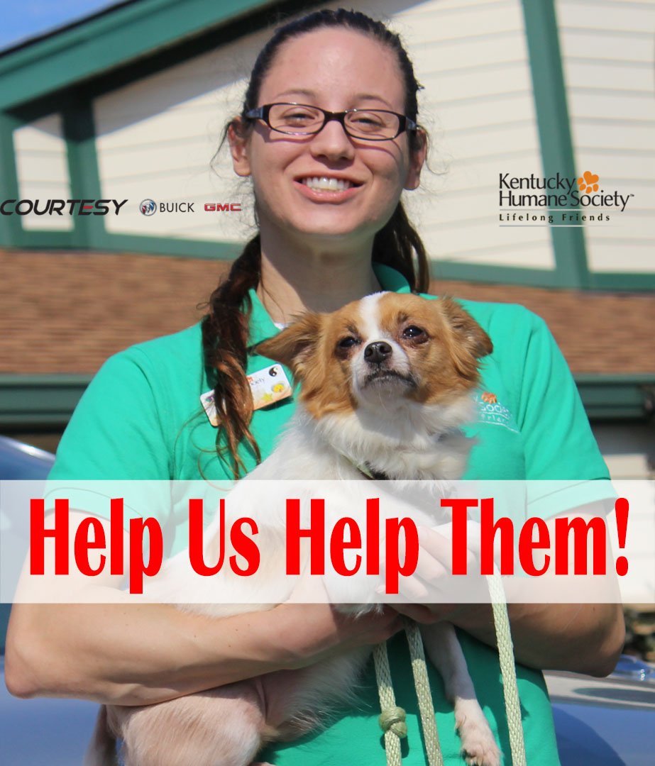 Ky Humane Society Kyhumane Twitter