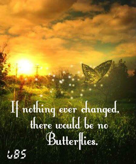 aundreatharris's tweet photo. #ILoveButterflies #GrowingThroughLife  #ItsAWonderfulLifeNow #VictoriousIn2016 #FinallyAllowingItToHappen https://t.co/6cc8wvkJMD