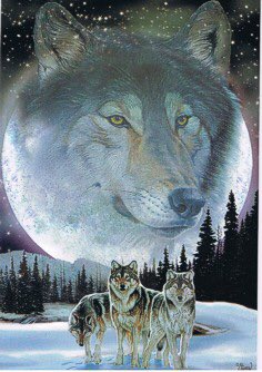ThorGilbright's tweet photo. Today is cool as #wolf day #wolfwednesday so saddle up and ride under the moon light

@DJPaulyDBlowout @ClownSights @truejuggalo73 #Juggalo https://t.co/CD1QsMQ1SW