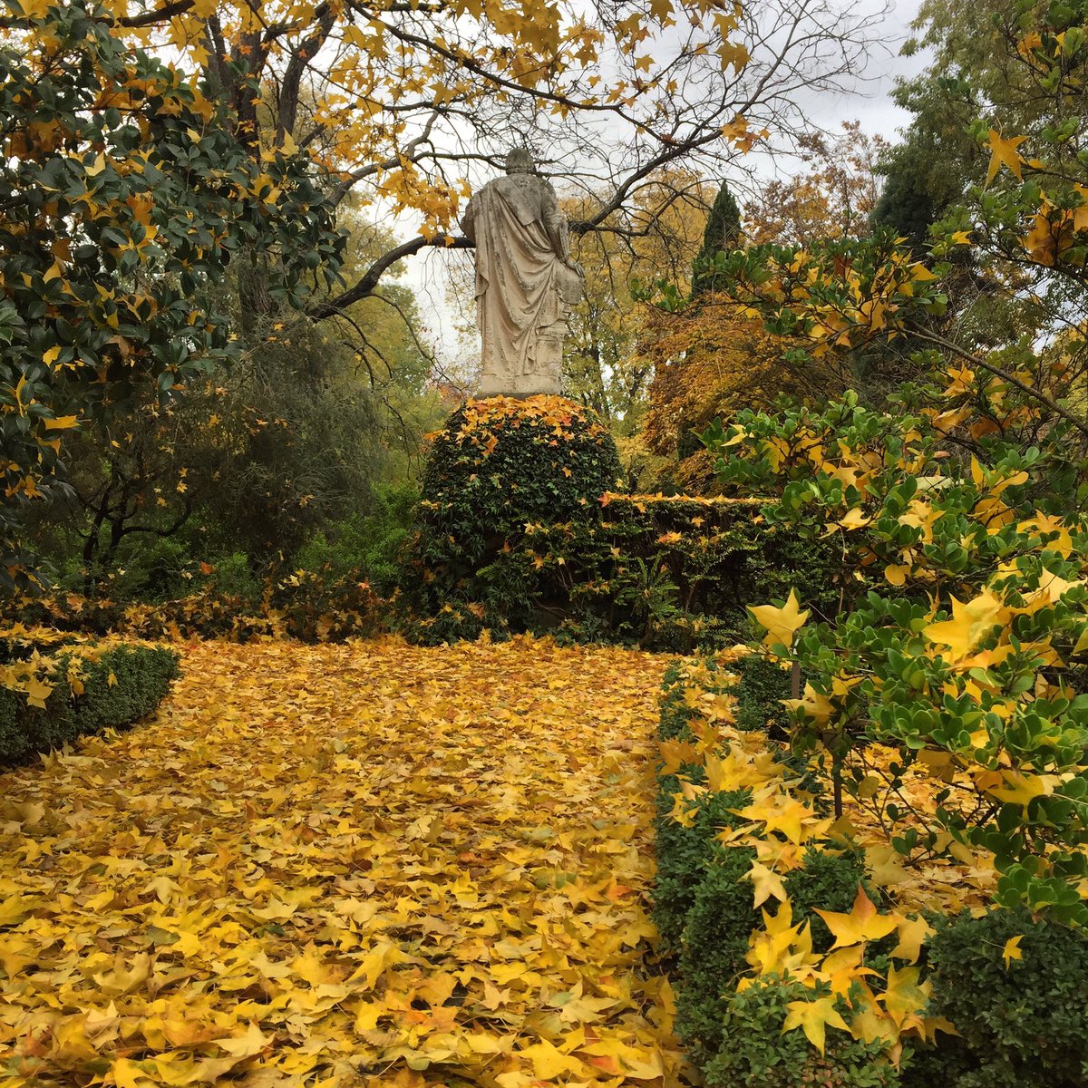 MoraimeT's tweet photo. Esplendor de otoño en el Botánico de Madrid.
#jardinbotanico #jardin #garden #autumn #otoño #fall #colours #colores https://t.co/Wo4bpusOJl