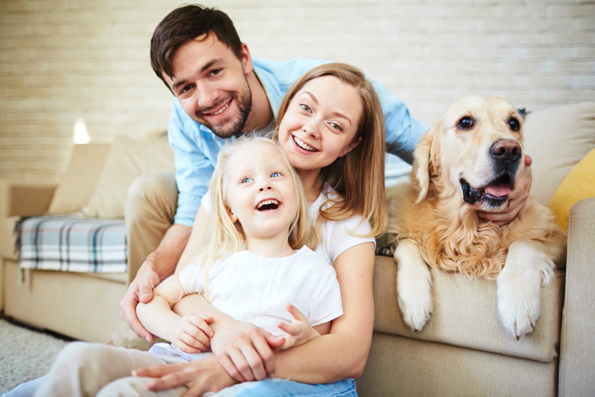 arw_home's tweet photo. Discover how #ResidentialProtection helps to keep your home safe and learn 5 reasons why you need an #AlarmSystem. https://t.co/0QHmPsDnPH https://t.co/W1rPGpOxGj