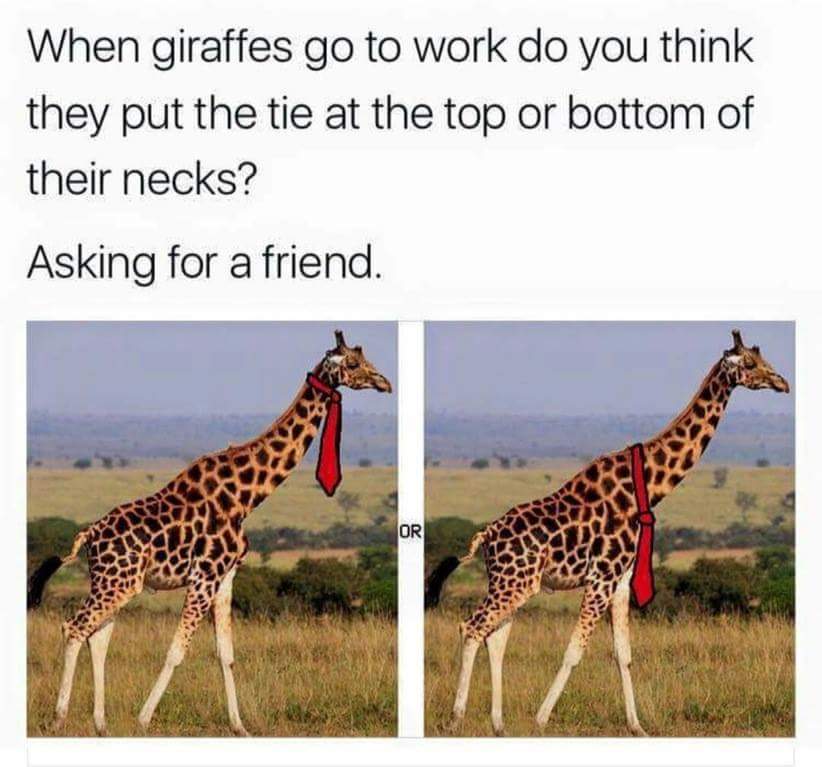 Sprgrl_za's tweet photo. https://t.co/brEqe82x3m