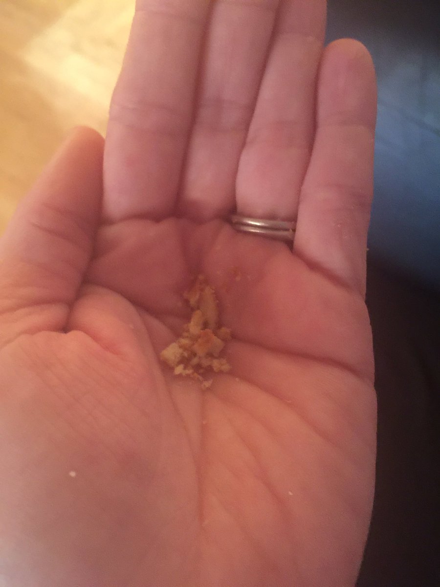 owl_in_a_towel_'s tweet photo. Man. I'm really itchy. There must be a hair in my bra. Nope. #motherhood #bra #slob #delicioustoast https://t.co/BlmxKUZvOP