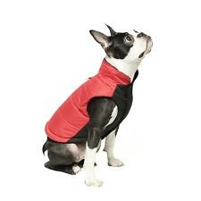 BeasleyPetCo's tweet photo. Dog jackets &amp; sweaters are now available to purchase online!! https://t.co/VaahcoY6DO https://t.co/QRGoo5leer