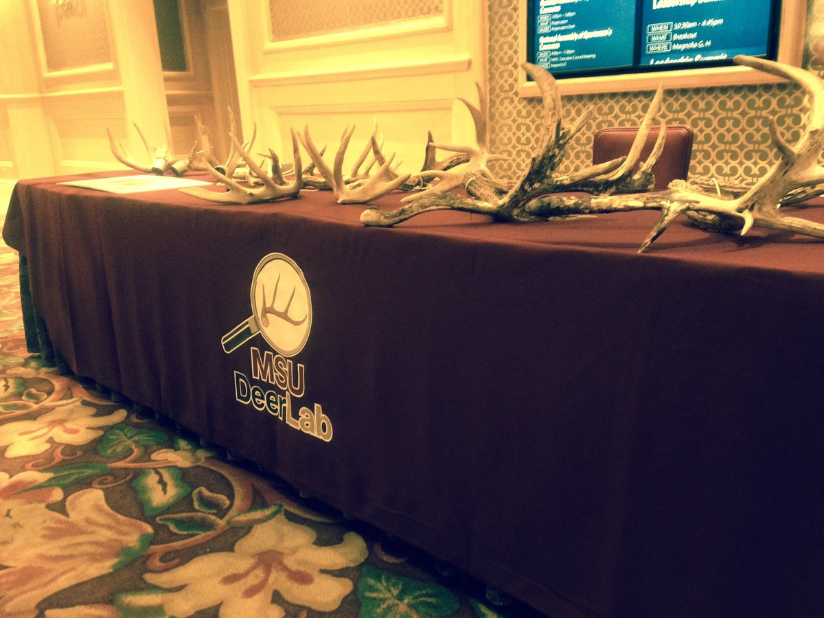HunterandAngler's tweet photo. Nice antler collection at #NASC2016 @MSUDeerLab https://t.co/ZGvOGU5Xw3