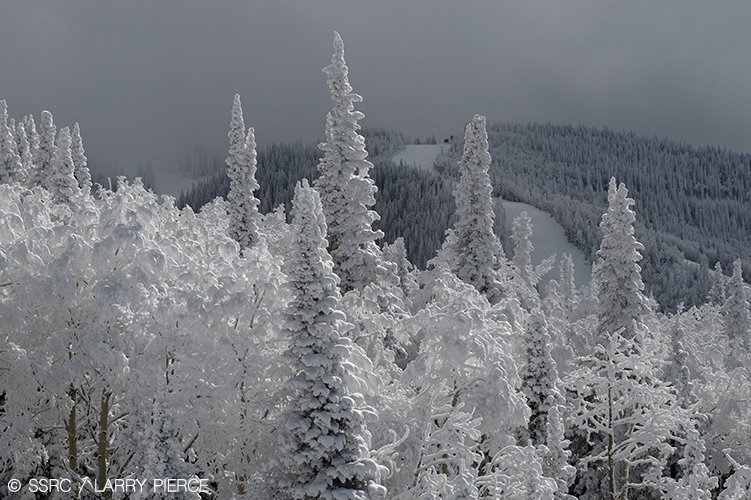 Four days of snow has mid-mountain looking pretty good. 

#cowx