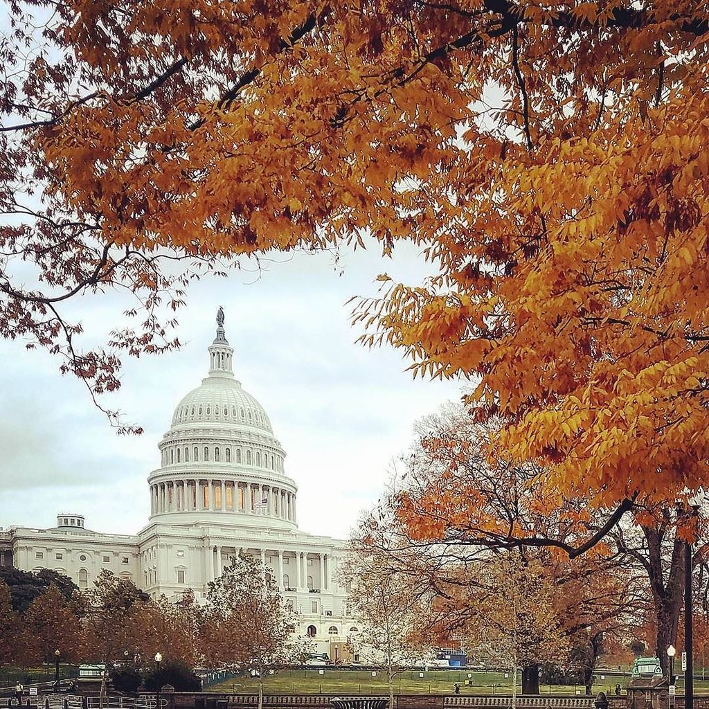 BUAfricaStudies's tweet photo. It's still fall in Washington, D.C. #asa16 #ncss2016 https://t.co/NR58iIYODm https://t.co/BarjPB6MbX