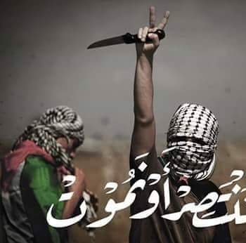 khgufj's tweet photo. انا سوري والي الفخر ومن حلب الي انشاء الله مابتعرف القهر بس أخ شو جار عليه؟؟؟؟؟؟؟؟؟ https://t.co/gSUE92aDtj