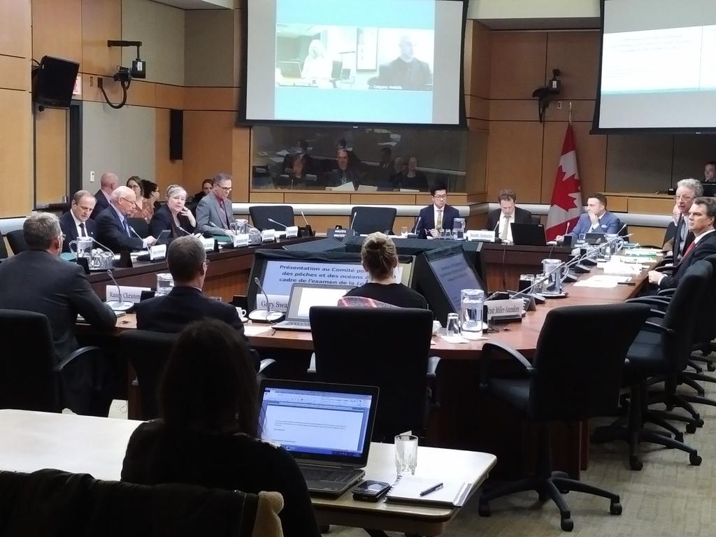 JohnMasswohl's tweet photo. CCA's Environment Manager @FawnJackson1 at the House Fisheries Ctte talking about stewardship of habitat. https://t.co/iLFiKOUzbB
