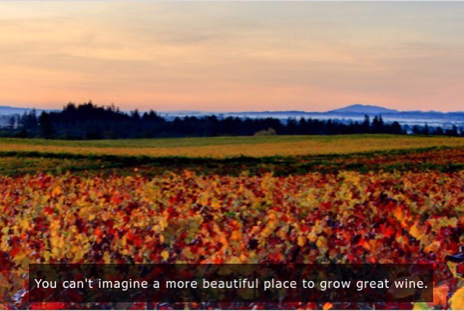 NextGenWine's tweet photo. RRVW spotlight-Gold Ridge Vineyards, Corpuel Family Vineyard, BCD Farms, Ritchie/Poplar Vineyards, &amp; Matthew's Station grow #grapes in #RRV! https://t.co/uSpW0sHk1a
