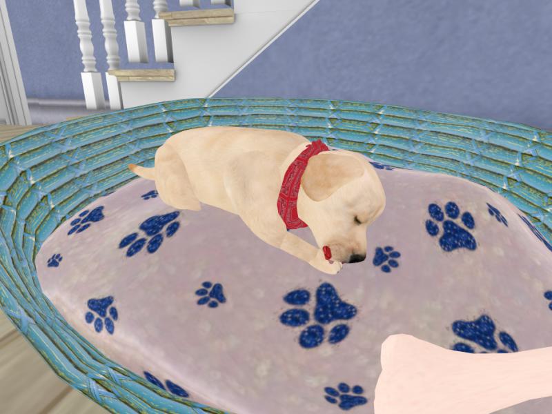 SecondLifePics's tweet photo. Ash looky who i found when i was looking through my inventory
 #SecondLife https://t.co/IA44Ex0f24