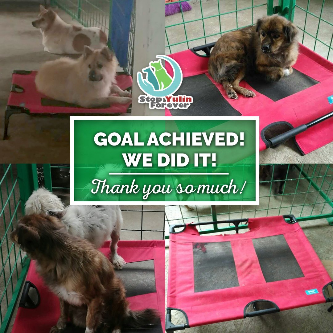 stopyulinforevr's tweet photo. Thank you so much for your generous donations. Our $1 dollar dog beds campaign was truly a success! #AllyForChange https://t.co/1J3Vxx3MOZ