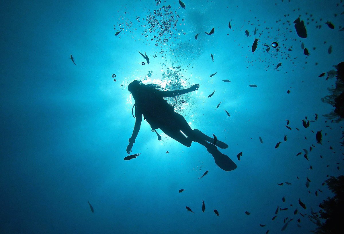 AbyssCenter's tweet photo. Flying Underwater ! #WhatDidYouDoToday #freedom #WhatDreamsAreMadeOf #ILoveScuba #Bali https://t.co/c6erqOOETN