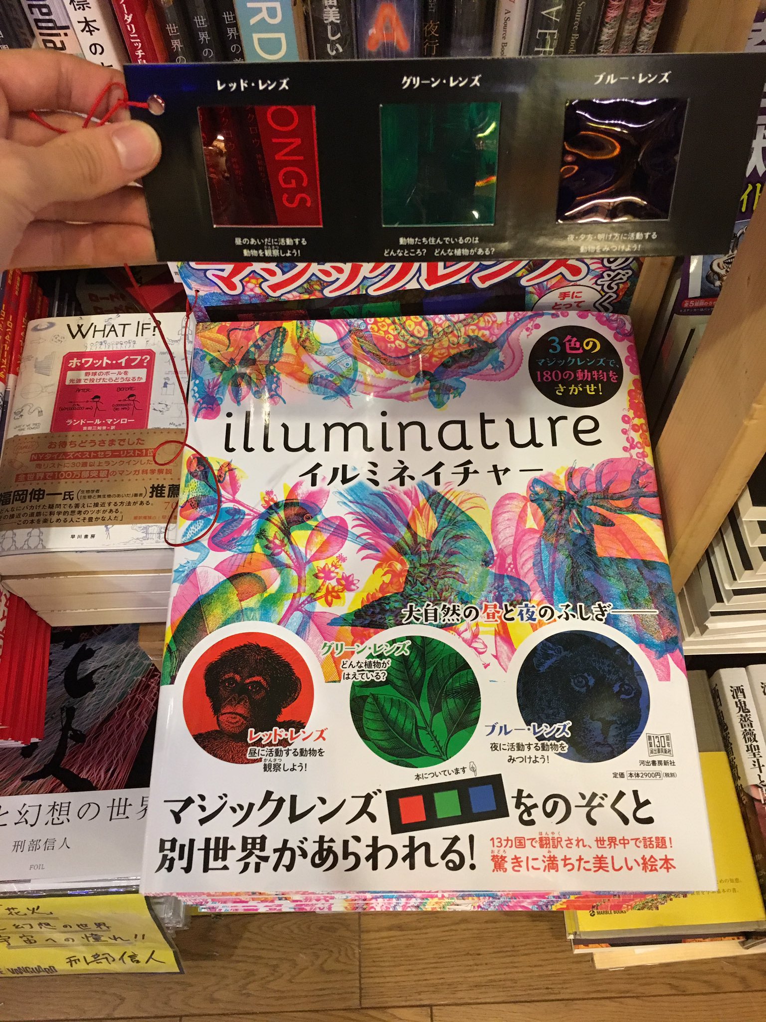 ヴィレッジヴァンガード下北沢 すげー 超面白い本入荷しました サイケデリックなページを三色のレンズで覗くと 赤で覗くと昼の 動物が 緑で覗くと植物が 青で覗くと夜の動物が見えてくる プレゼントにもすごくおすすめのトリップ絵本 T Co