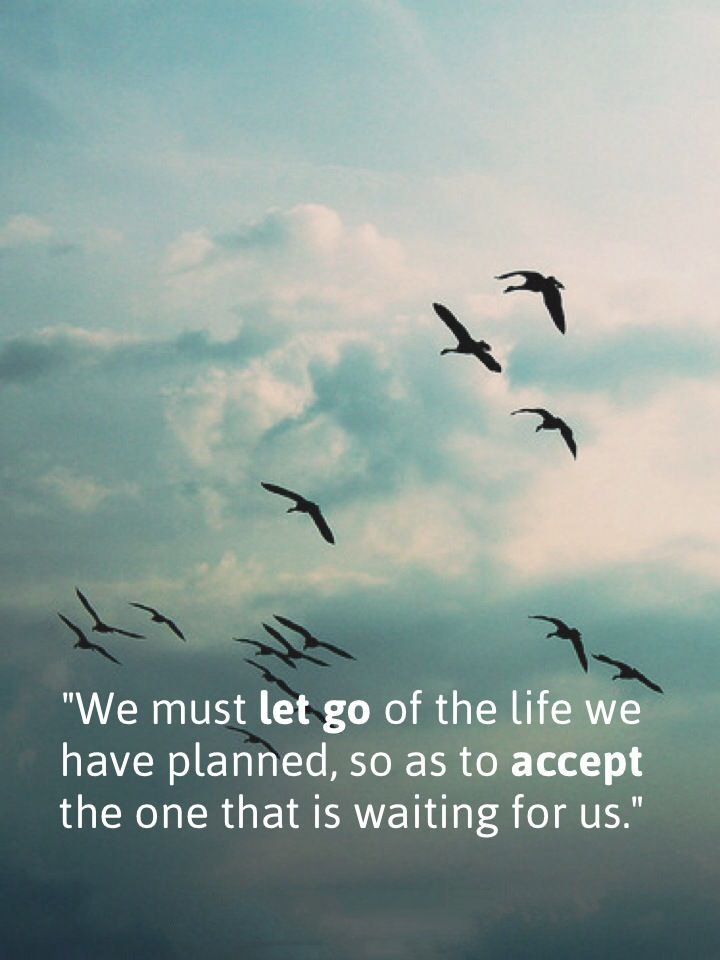 thetrusttest's tweet photo. We must let go of the life we have planned, so as to accept the one that is waiting for us #Quotes https://t.co/Fb18GSmwON