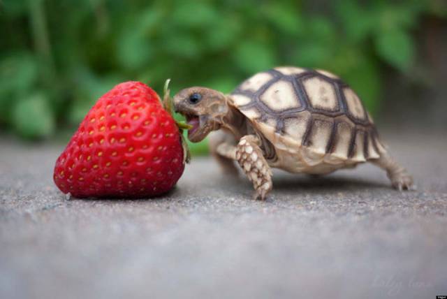 1zerozero's tweet photo. Good Morning Friends... 🐢🕊 https://t.co/NnJ5Xb9QHw