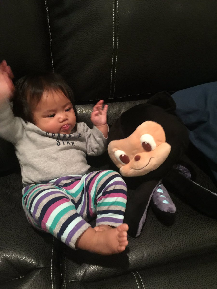 mlaguren's tweet photo. My princess and her #octokitty. @squishable @github https://t.co/iuKXijZNTA
