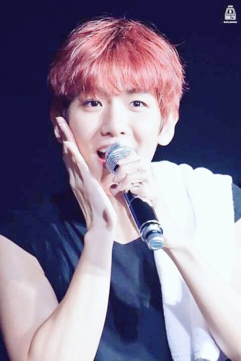 PilLuz's tweet photo. Baekhyun kawaii https://t.co/rZL1btM8La