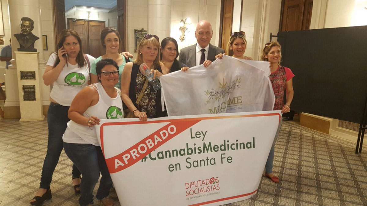 Cannabis medicinal: sanción definitiva para el proyecto de ley socialista en la Provincia de Santa Fe
partidosocialista.org.ar/es-ley-el-uso-…