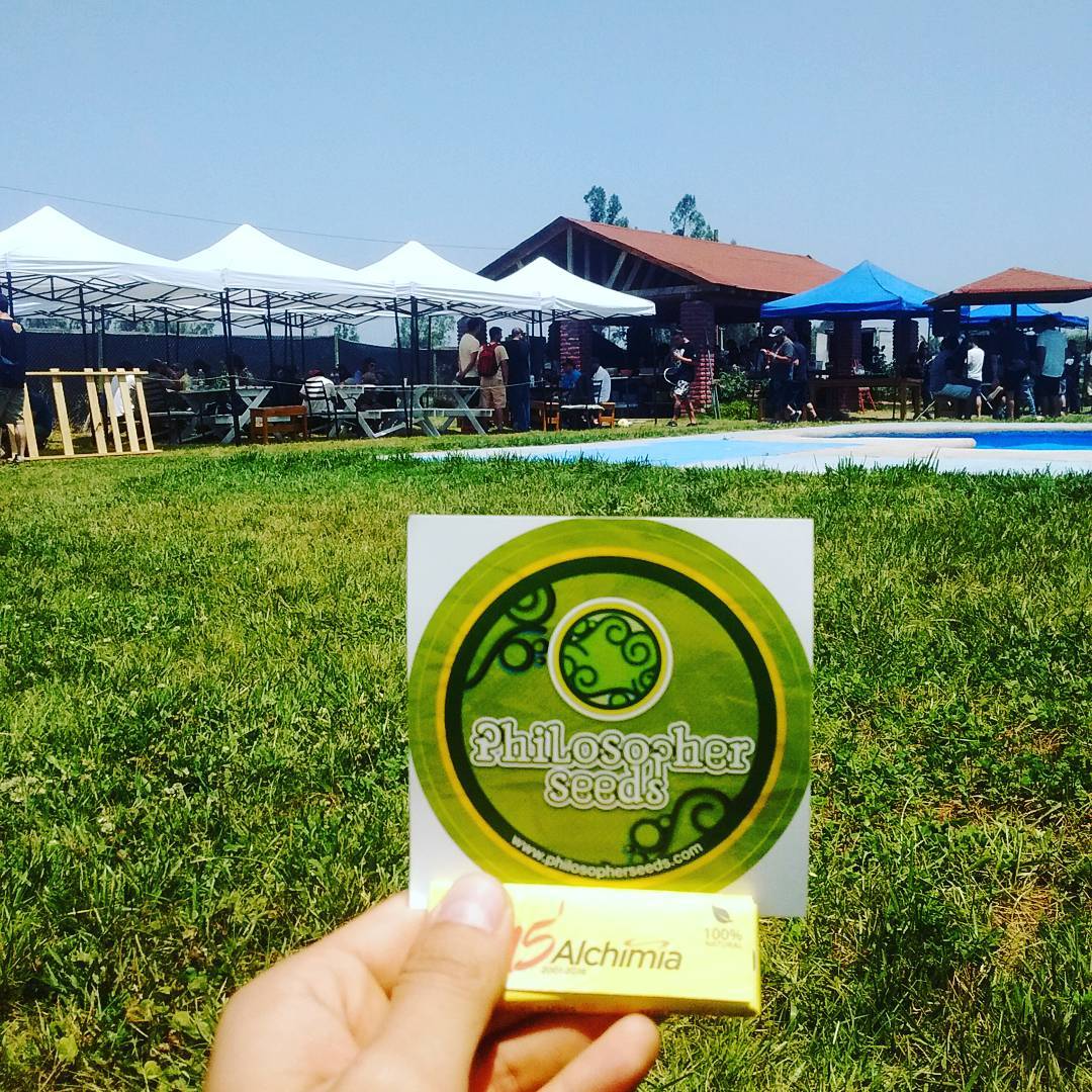 Alchimia_Chile's tweet photo. 4a edición de la #neurocopa, copa cannábica antes de @Expoweed. ¡Genial ambiente! https://t.co/ndq6msPNej
