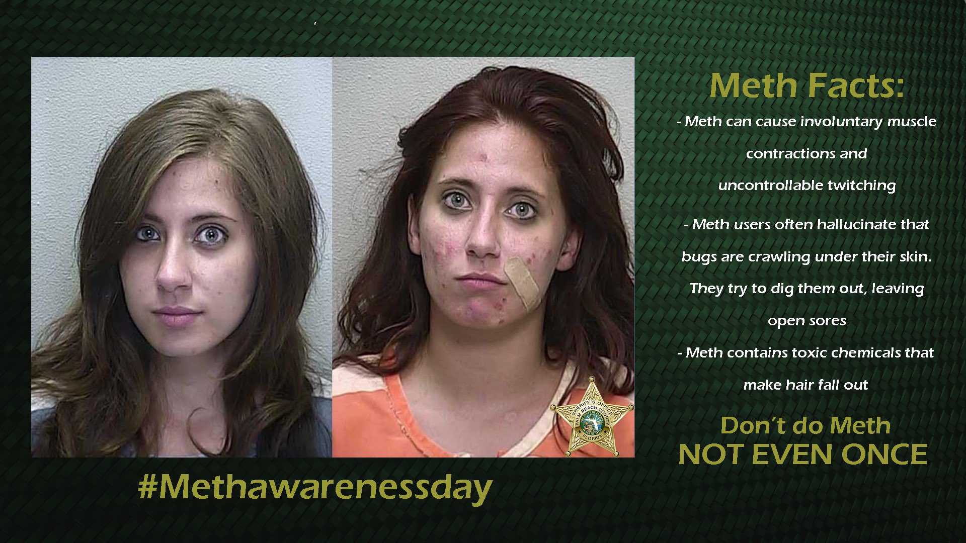 PBSO on Twitter: PBSO on Twitter: