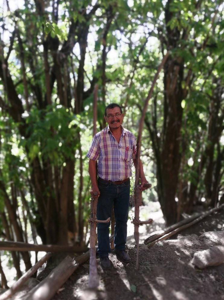 Mr. Fernandez teaches us how to use a Chaquitaclla, incas tool for soil churning #agriculture #andes  #tradition