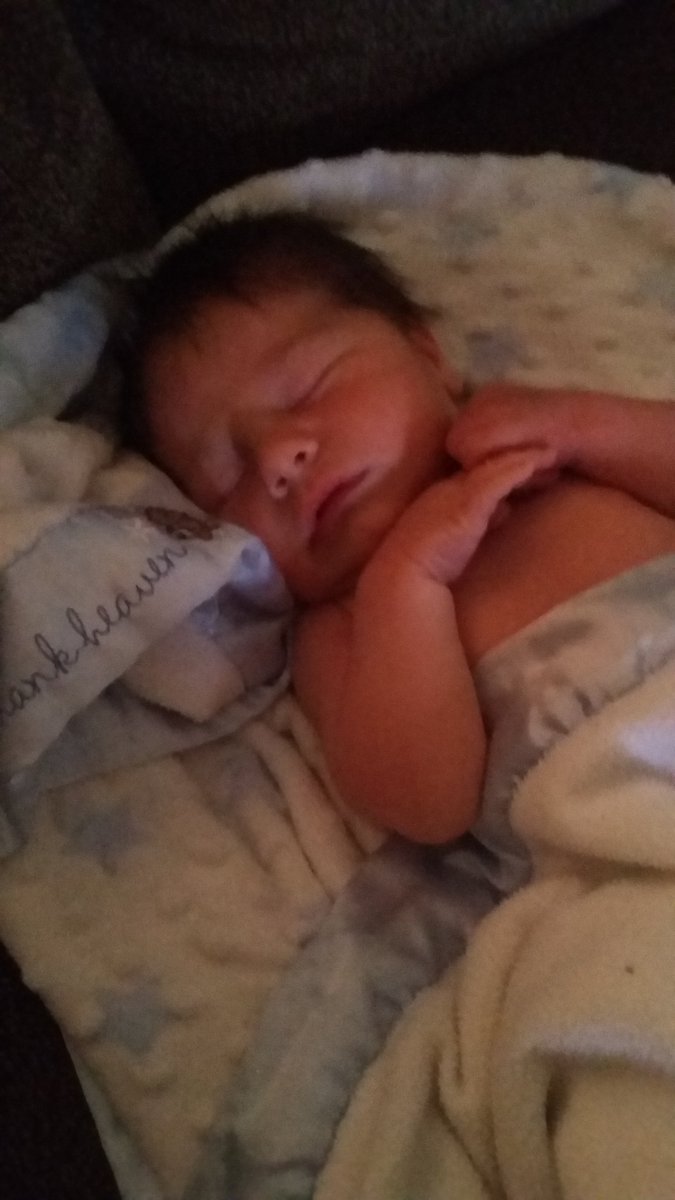 xcloysterx's tweet photo. @Antitinkerbell here's the little guy https://t.co/W53XjxEs3I
