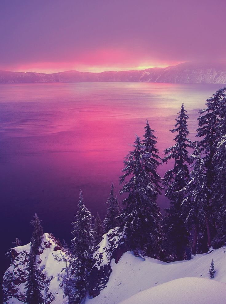 arasaucedo24's tweet photo. ~Make it a December to remember...
                    ❄️❄️💜❄️❄️

#DecemberWish ❅ https://t.co/60I2tt3SeP