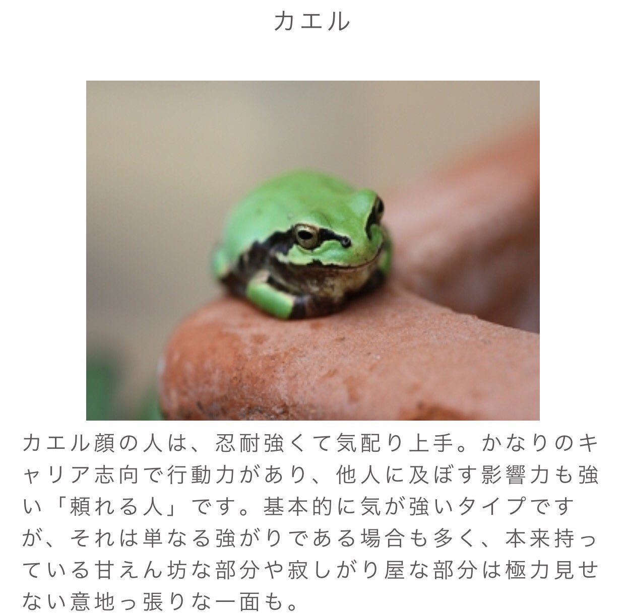 瑛美 カエル顔って結構ショック笑