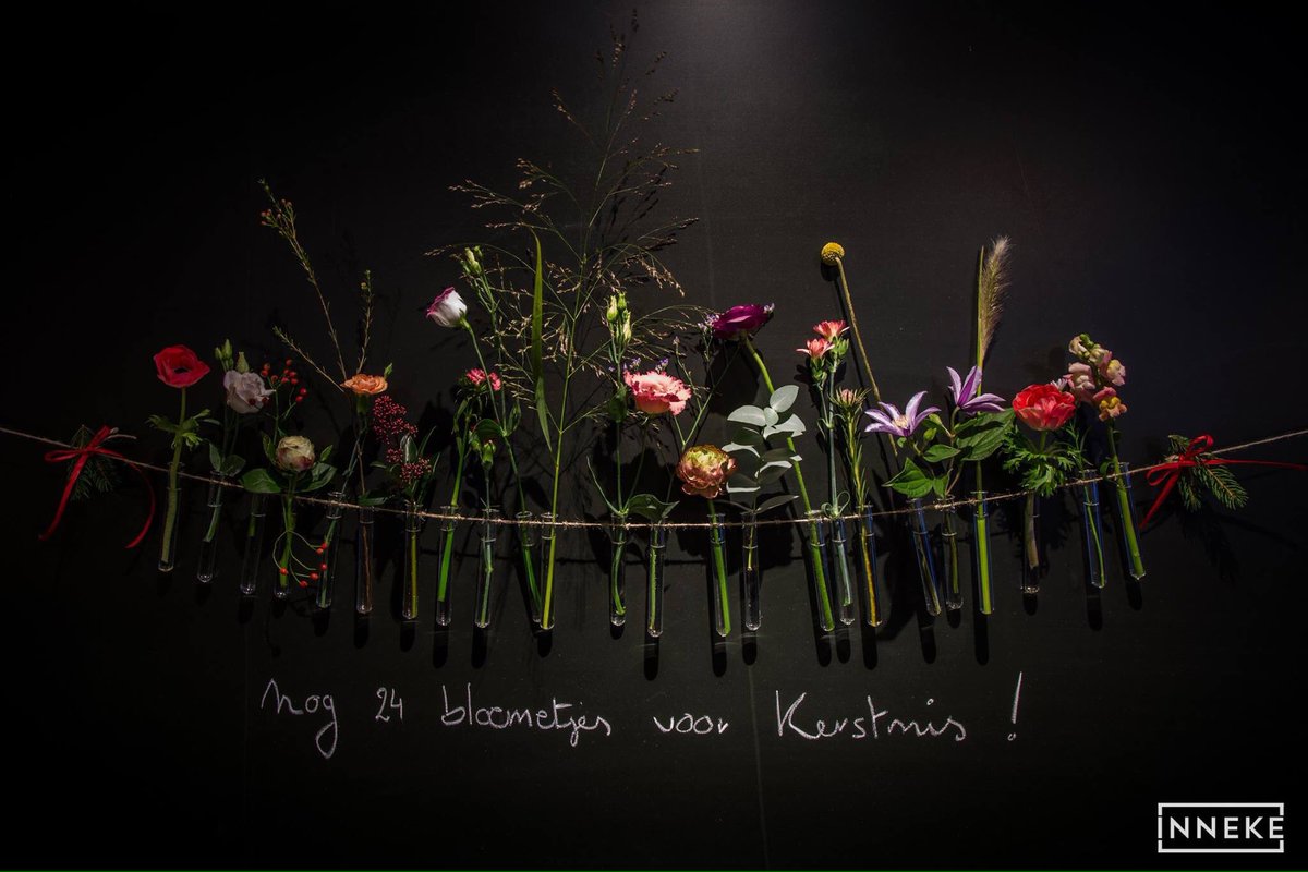 Inneke_IG's tweet photo. *1 december* Nog 24 bloemetjes voor Kerstmis! https://t.co/pxkWw3xFe1