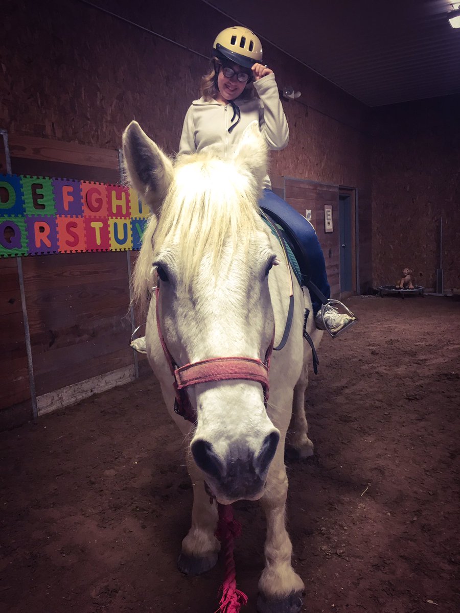 MateasRaluca's tweet photo. Rosie got Remi to back up, trot, and play fair all by herself tonight! Awesome!! #ExceptionalEquestrian https://t.co/8gSfel8r2t
